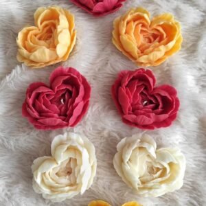 N&N 20 peony heart 45gm